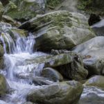 日本一短い川 ぶつぶつ川 の様子や名前の由来 なんでもランキングno1